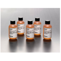 SINGLE JUNCTION REFERENCE