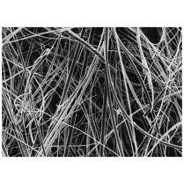 Filter, Glass Fiber w/o Binder