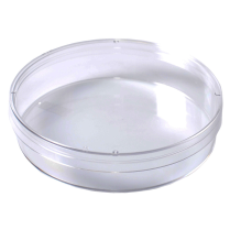 Petri Dish, 100x25mm (13 pack)