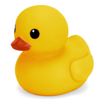 Rubber Duck (12 pack)