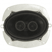 Dual Voice Coil Speaker - 5" x 7" 4 ohm 140 Watt
