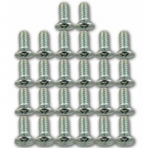 1956-66 Chevy & GMC Pickup Truck Door Panel Screw Kit