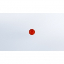 Type A Light Diffusers - Red 9/32 Lb