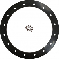 6" Diameter 16 Hole Viton Gasket & O-Rings for PA Pumps