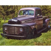 1948-50 Ford F1 Pickup Truck Fender Bra