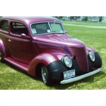 1937 Ford Passenger Car Bug Screen