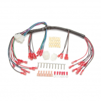 Gauge Wiring Harness with Mechanical Speedometer